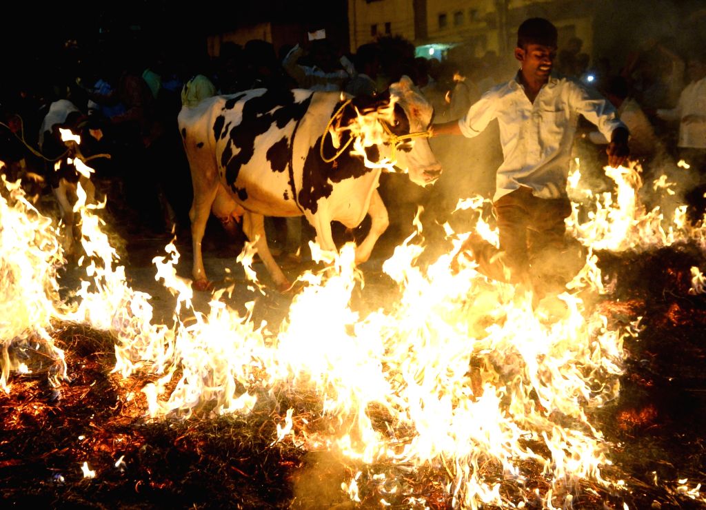 d&ugrave;ng lửa đốt s&uacute;c vật